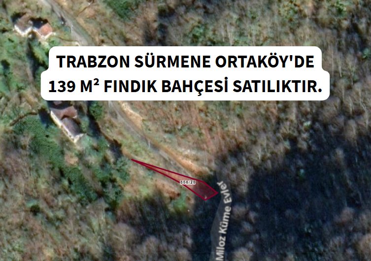 TRABZON SÜRMENE ORTAKÖY KÖYÜNDE 139 M² FINDIK BAHÇESİ SATILIKTIR. - TRABZON SÜRMENE fotoğraf 7